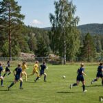 Damfotboll 2026 Sverige: damallsvenskan och landslaget